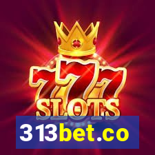 313bet.co