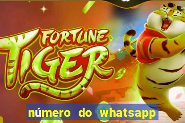 número do whatsapp do perrengue na band