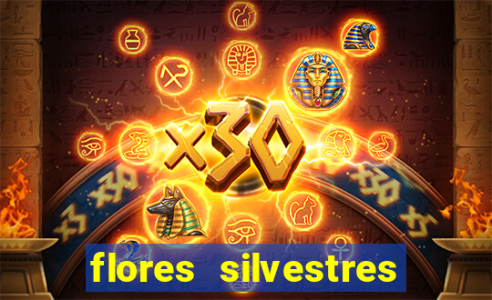 flores silvestres desbravadores desbravadores 25