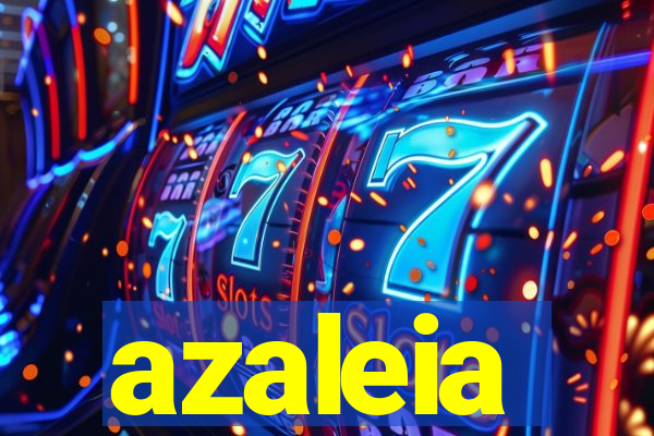 azaleia-br.com