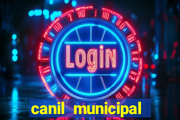 canil municipal porto alegre